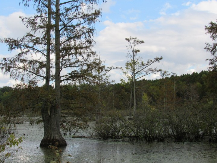 Wildlife Preserve